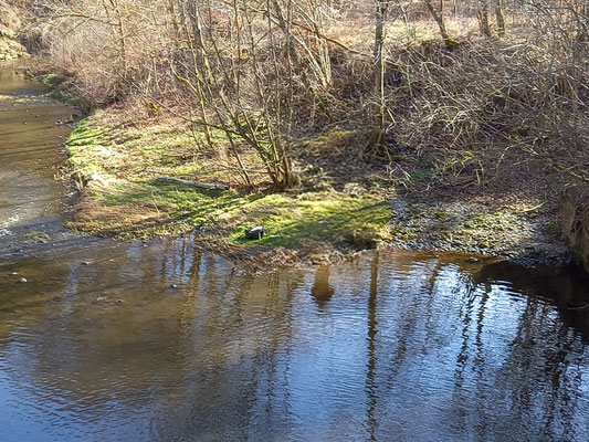 Moosach